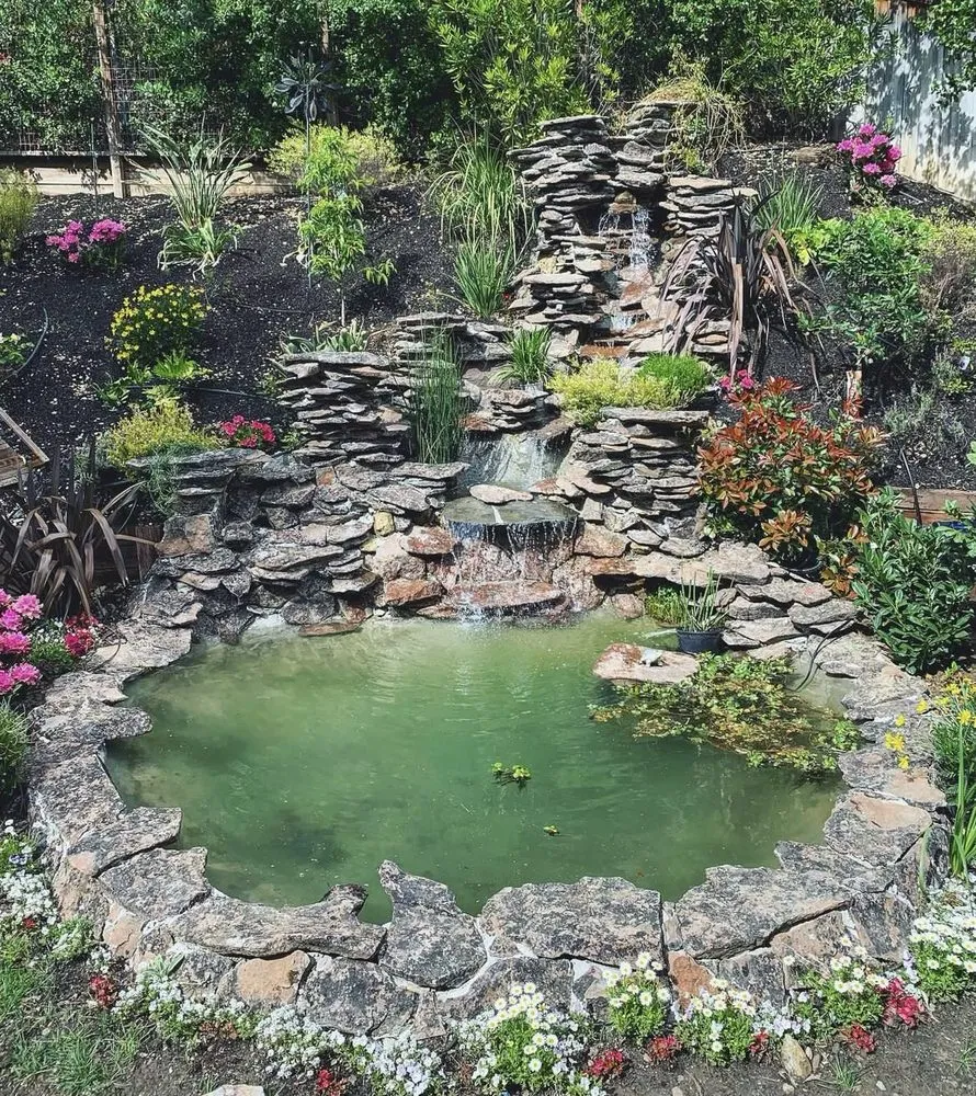 Custom lawn care service in Modesto, CA - Golden State Ponds