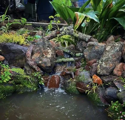 Golden State Ponds Logo