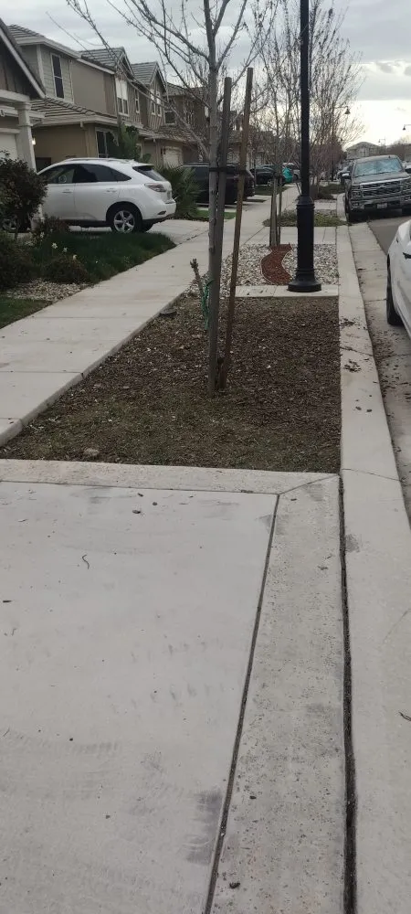 Custom landscape installation experts serving Stockton, CA - Golden State Services