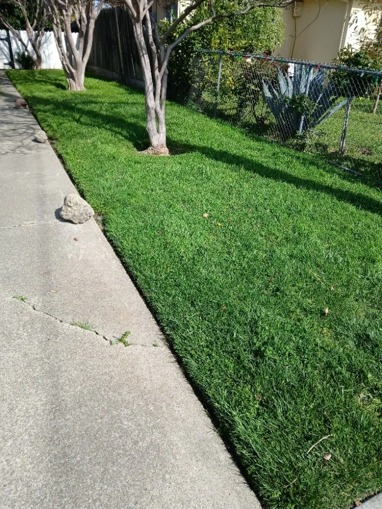 Affordable yard maintenance for outdoor upgrades across Stockton, CA - Golden State Services