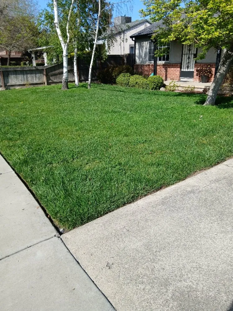 Affordable landscaping services for beautiful yards across Stockton, CA - Golden State Services