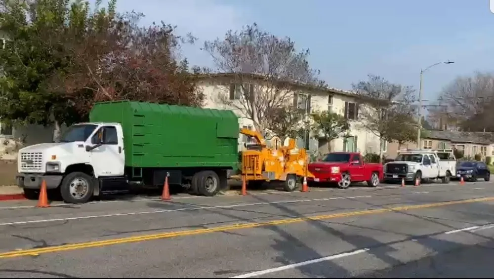 Reliable outdoor landscaping experts serving Glendora, CA - Golden State Tree Service