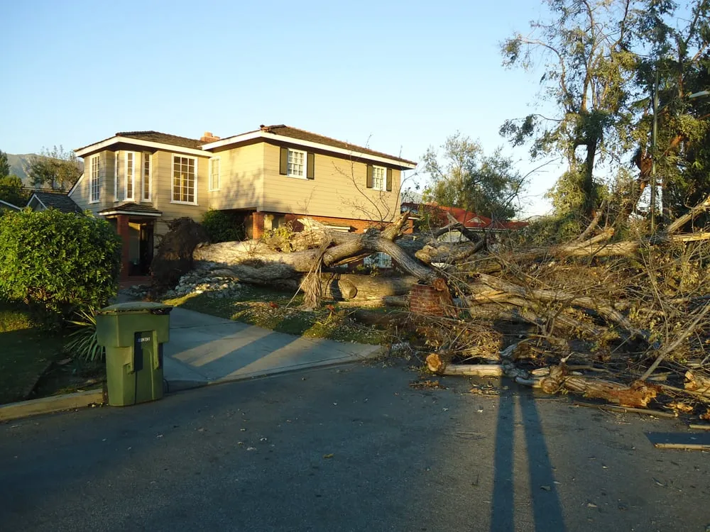 Top-rated garden landscaping experts serving Glendora, CA - Golden State Tree Service