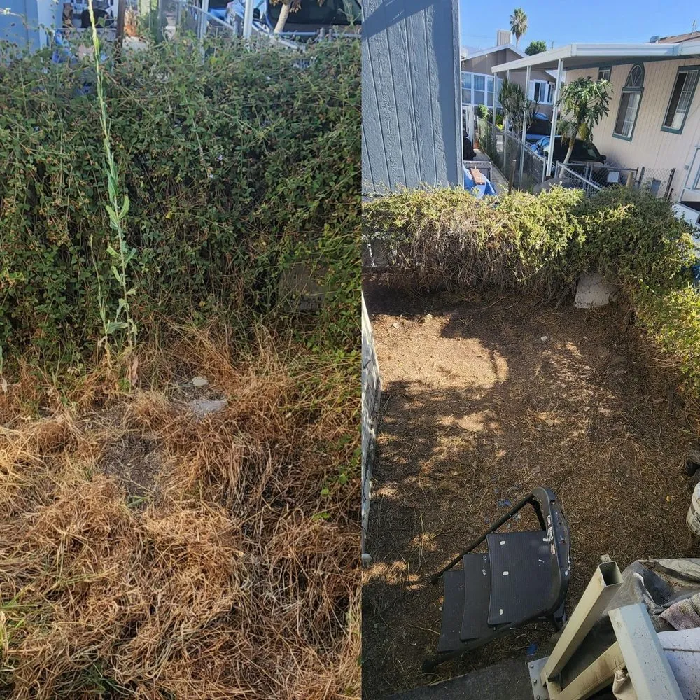 Local outdoor landscaping for residential properties across Glendora, CA - Golden State Tree Service