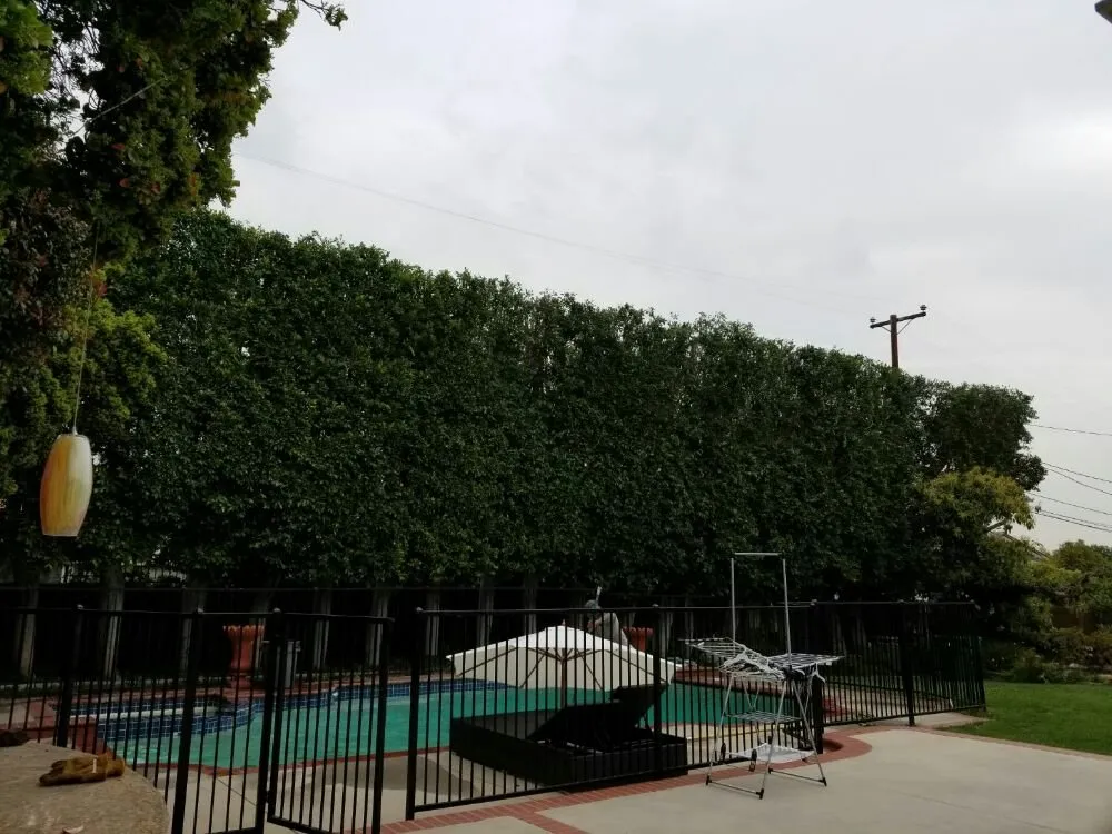 Reliable outdoor landscaping for residential properties in Glendora, CA by Golden State Tree Service