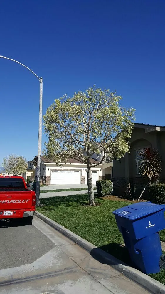 Local landscape design experts serving Glendora, CA - Golden State Tree Service