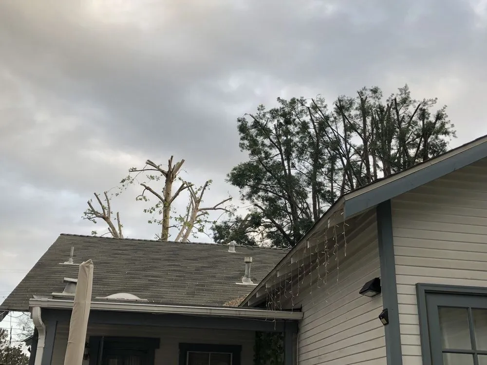 Professional landscape installation for homes across Glendora, CA - Golden State Tree Service