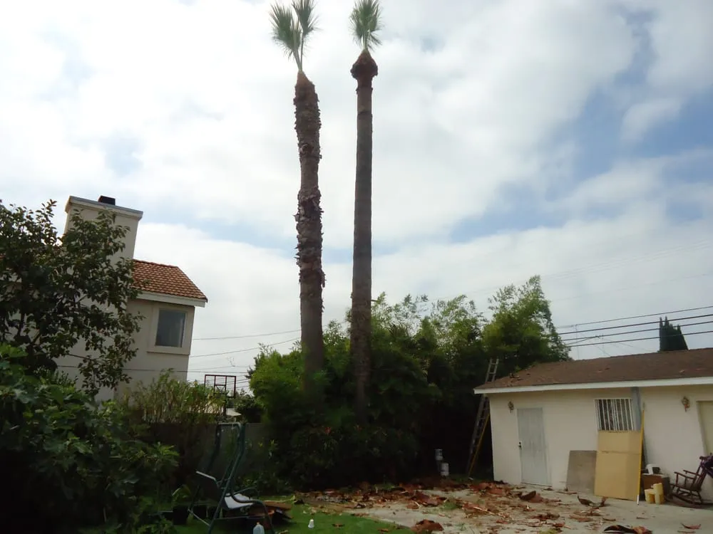 Reliable landscaping services with custom design in Glendora, CA by Golden State Tree Service