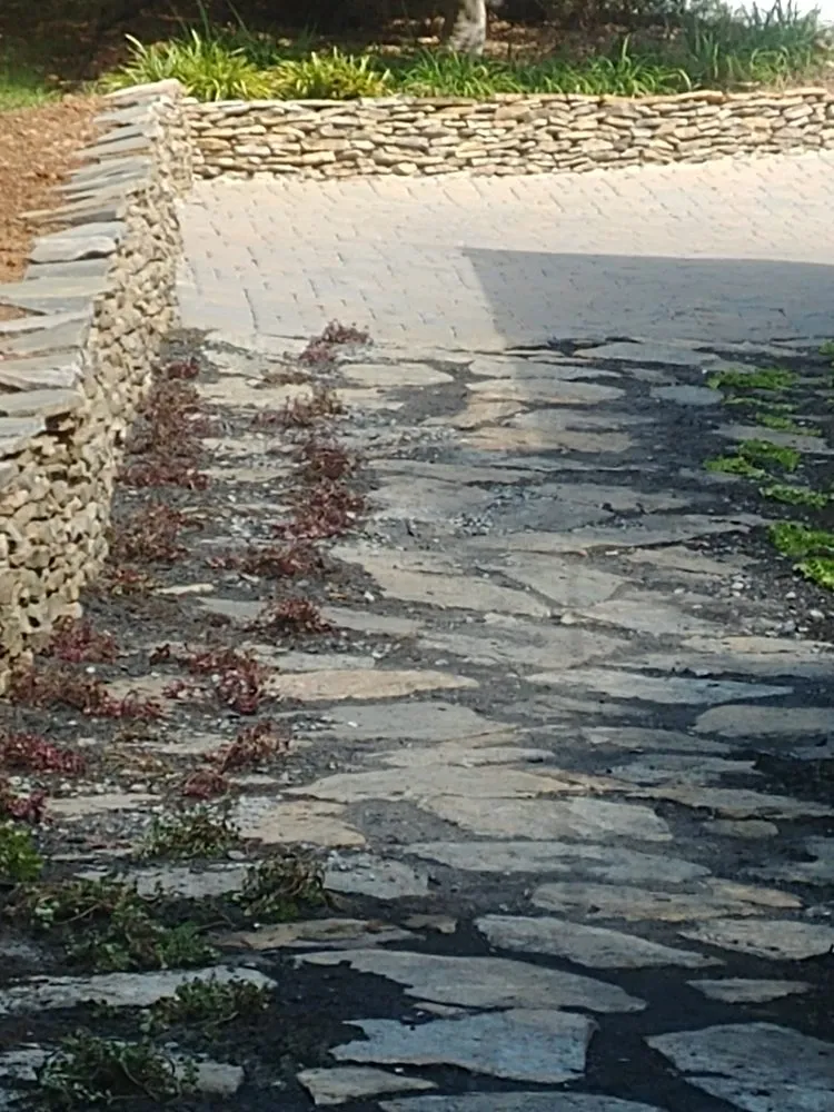 Professional landscape installation for homes in Simpsonville, SC by Golden Strip Landscaping