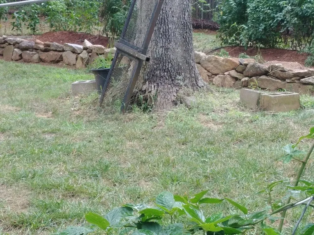 Affordable yard cleanup service for year-round maintenance in Simpsonville, SC by Golden Strip Landscaping