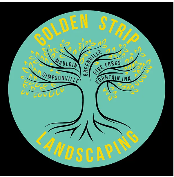 Top-rated yard cleanup service in Simpsonville, SC by Golden Strip Landscaping