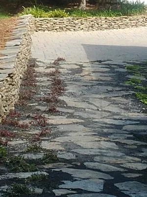 Golden Strip Landscaping Logo