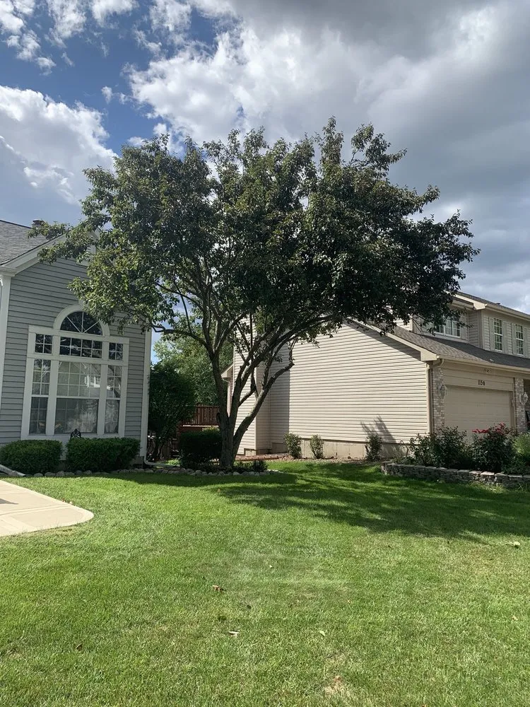 Custom yard cleanup service experts serving Winfield, IL - Golden Sun Landscaping