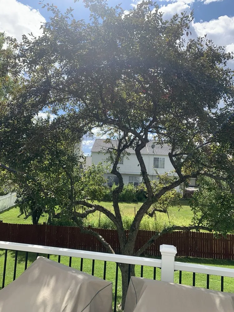 Local landscaping services with custom design across Winfield, IL - Golden Sun Landscaping