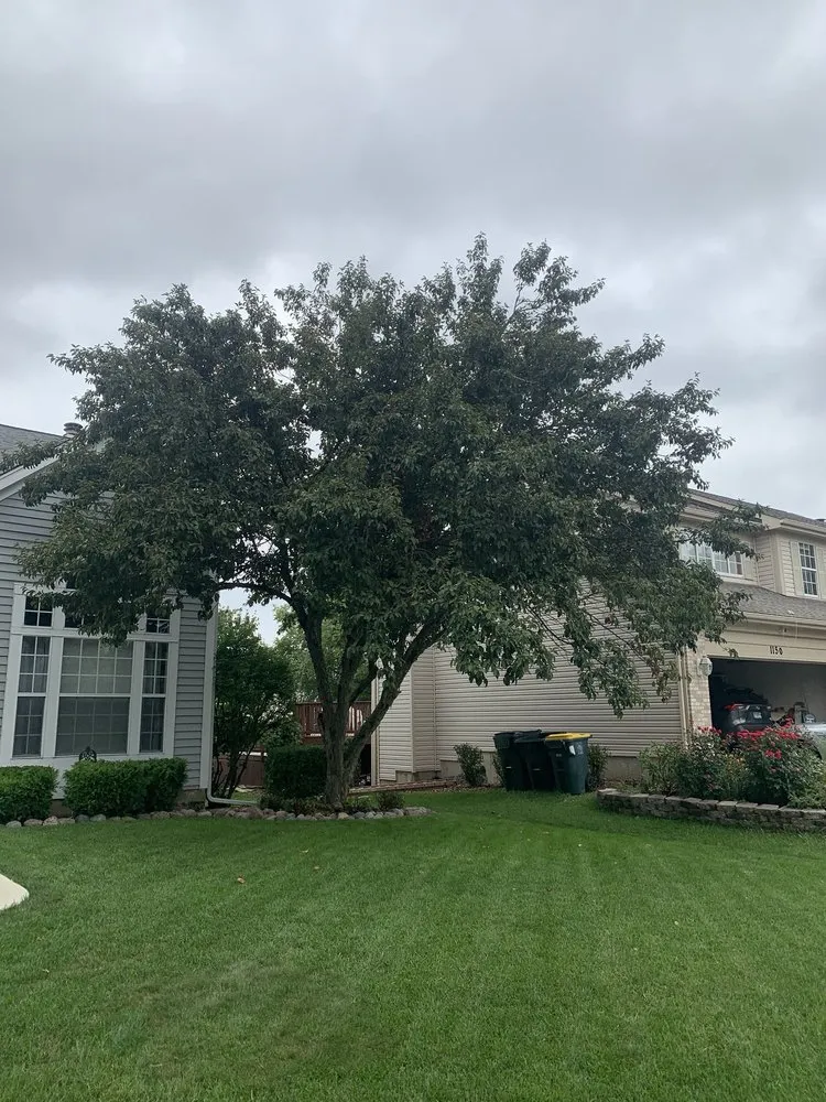 Custom outdoor landscaping with custom design across Winfield, IL - Golden Sun Landscaping