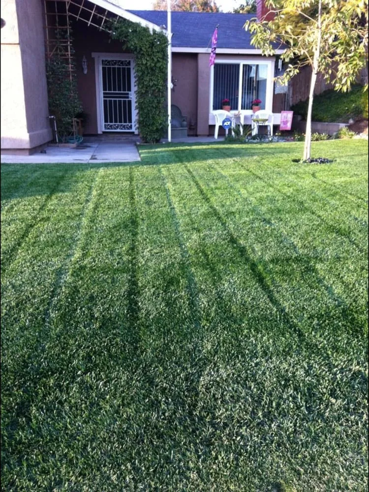 Expert residential landscaping in Santee, CA by Golden Sunburst Landscaping