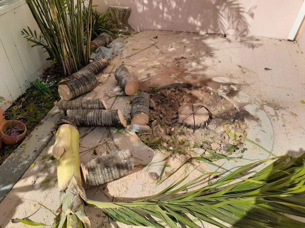 Affordable outdoor landscaping in MIAMI, FL by Golden Touch Lawn Care