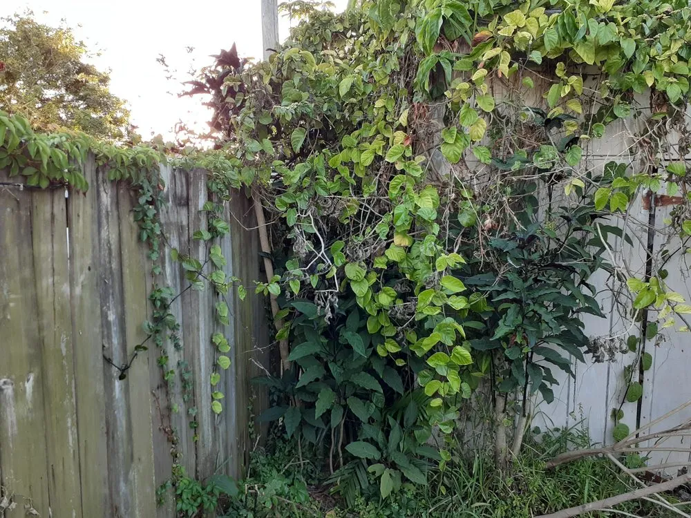 Professional outdoor landscaping for homes across MIAMI, FL - Golden Touch Lawn Care