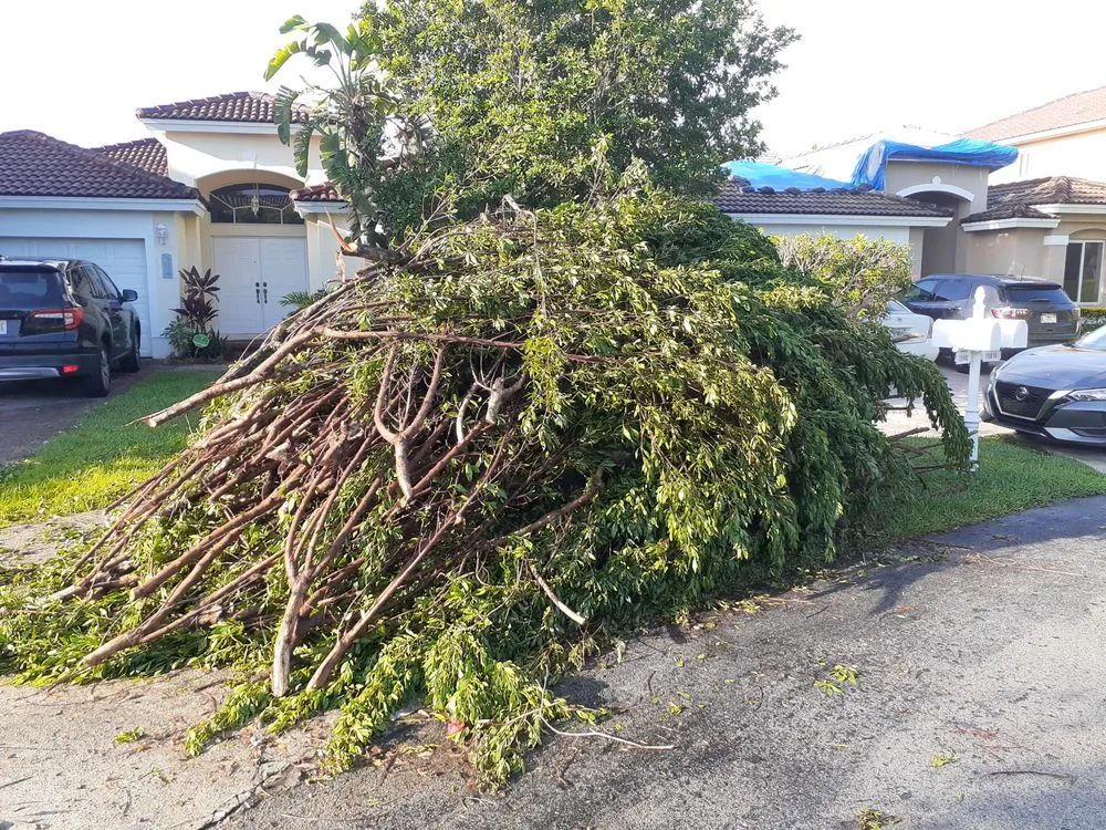 Custom landscape design for homes across MIAMI, FL - Golden Touch Lawn Care