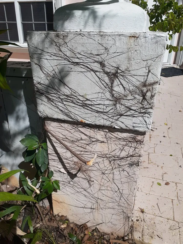 Reliable garden landscaping experts serving MIAMI, FL - Golden Touch Lawn Care