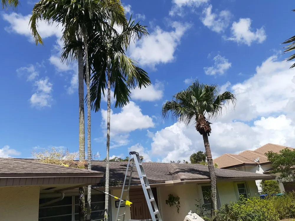 Top-rated outdoor landscaping near you in MIAMI, FL by Golden Touch Lawn Care