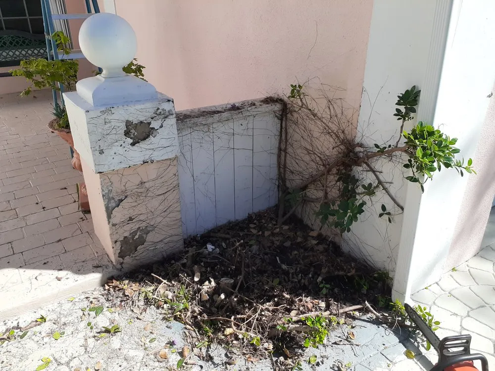 Expert garden landscaping for beautiful yards across MIAMI, FL - Golden Touch Lawn Care