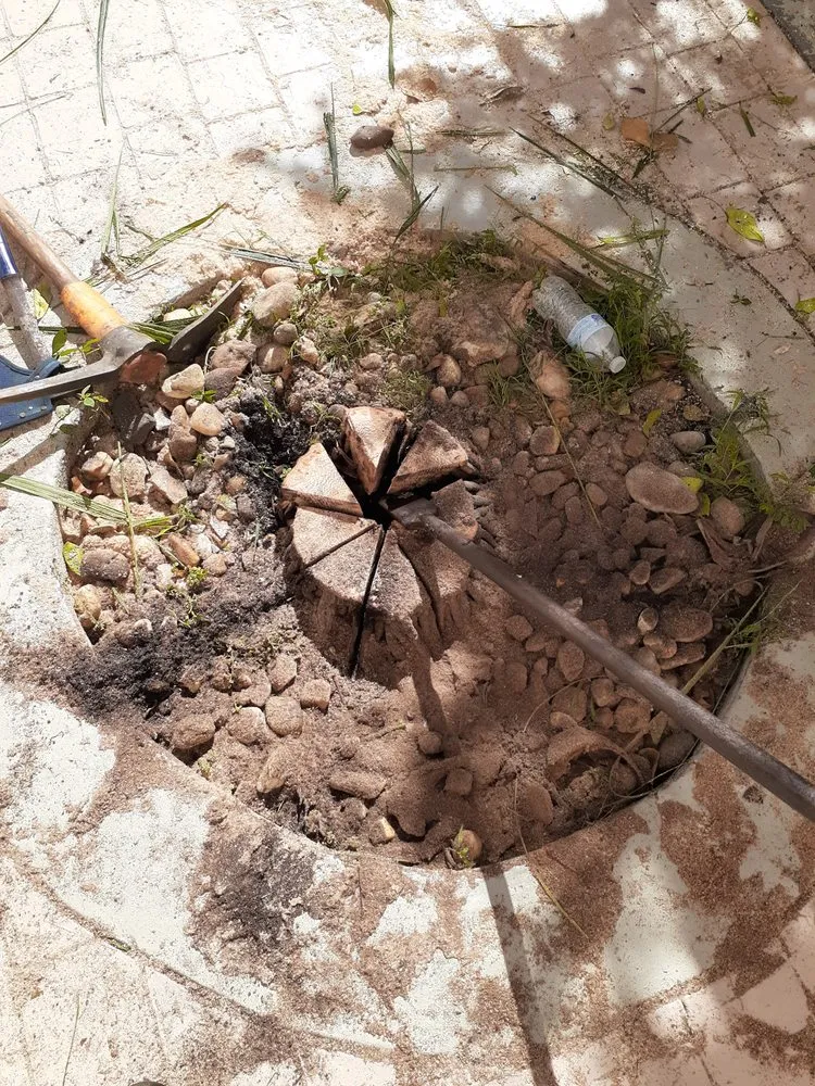 Custom landscape installation experts serving MIAMI, FL - Golden Touch Lawn Care