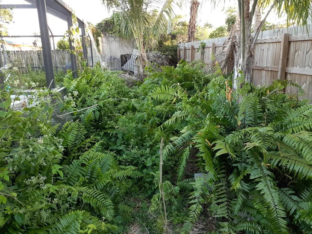 Expert landscape installation in MIAMI, FL by Golden Touch Lawn Care