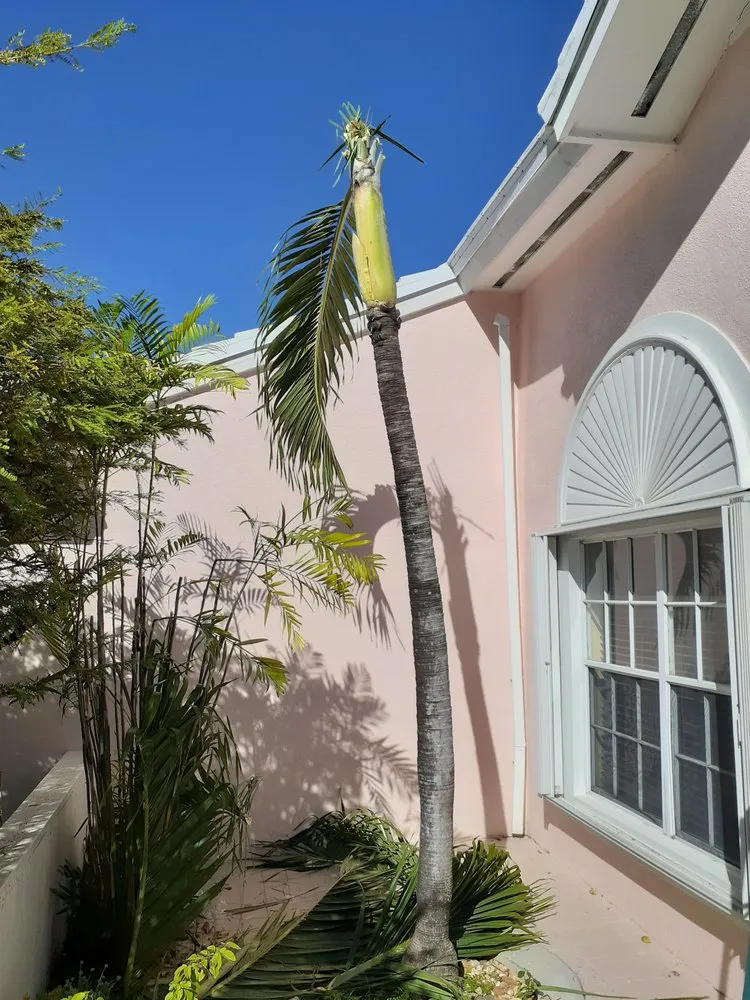 Local garden landscaping in MIAMI, FL by Golden Touch Lawn Care