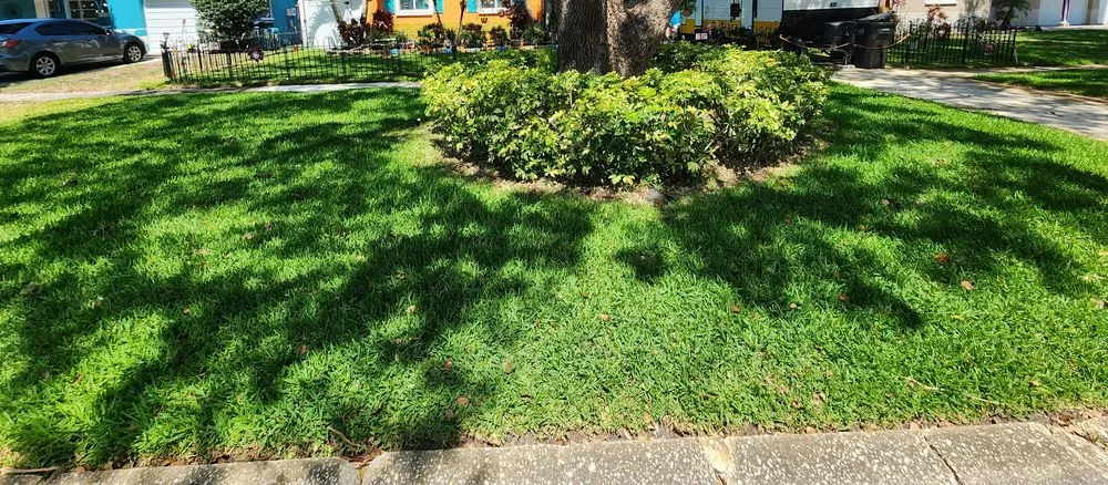 Reliable landscape installation for residential properties across St. Petersburg, FL - Golden Touch Lawn Care