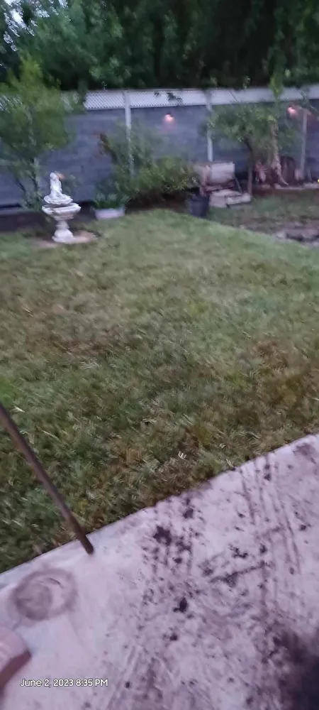 Professional lawn care service in St. Petersburg, FL - Golden Touch Lawn Care