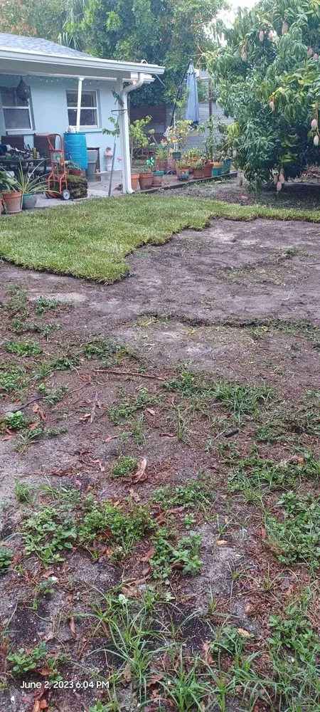 Professional yard cleanup service in St. Petersburg, FL by Golden Touch Lawn Care