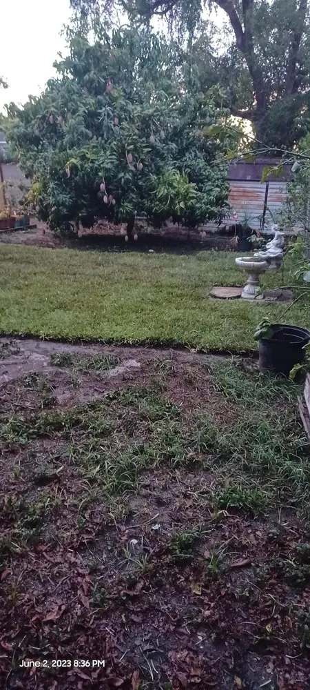 Reliable yard maintenance in St. Petersburg, FL by Golden Touch Lawn Care