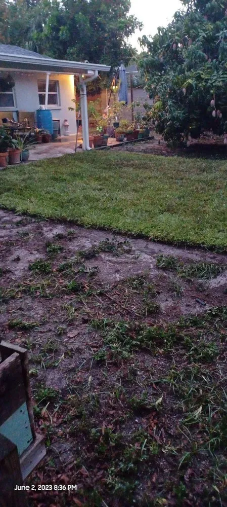 Top-rated yard maintenance near you in St. Petersburg, FL by Golden Touch Lawn Care