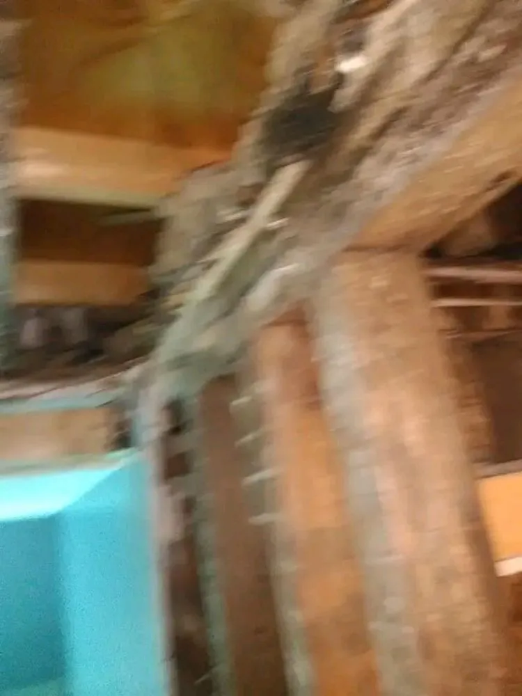 Local garden landscaping in Phenix City, AL by Golden Touch