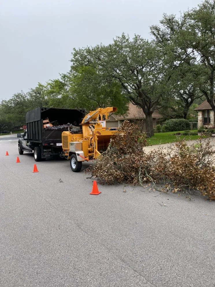 Affordable landscape installation for residential properties across Austin, TX - Golden Tree