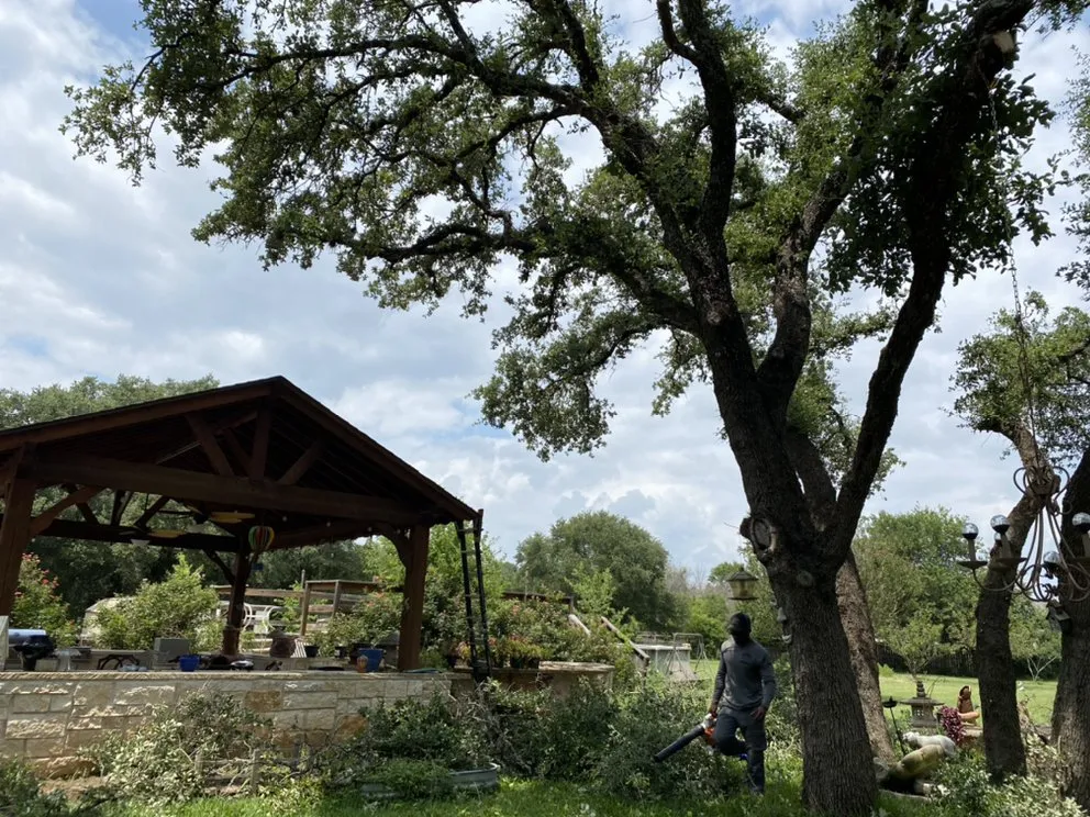 Reliable landscape installation experts serving Austin, TX - Golden Tree