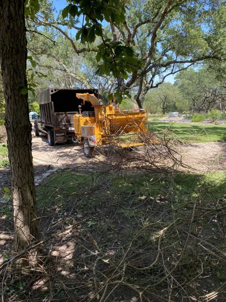 Top-rated yard cleanup service for beautiful yards across Austin, TX - Golden Tree
