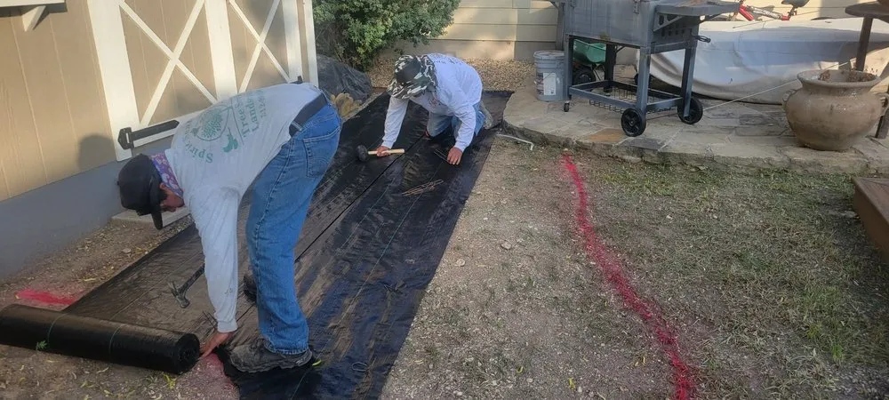 Trusted lawn care service near you across Austin, TX - Golden Tree