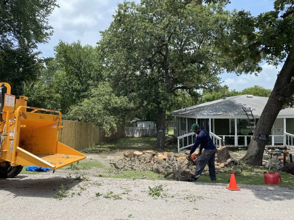 Reliable lawn mowing service for outdoor upgrades in Austin, TX by Golden Tree