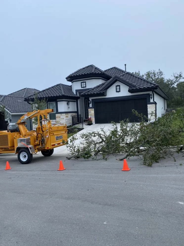 Expert landscaping services for beautiful yards in Austin, TX by Golden Tree