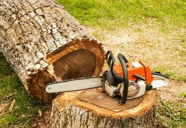 Custom outdoor landscaping for outdoor upgrades across Austin, TX - Golden Tree