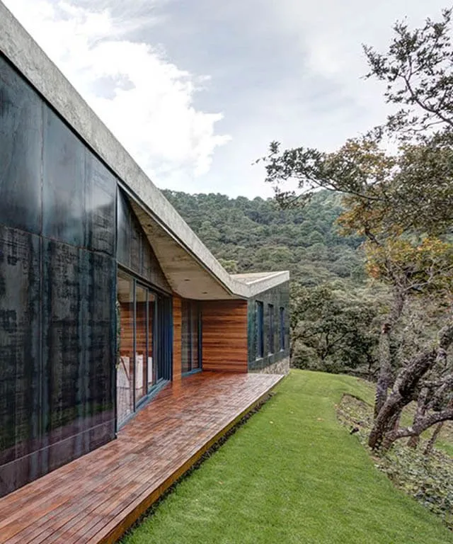 Local yard maintenance experts serving Austin, TX - Golden Tree