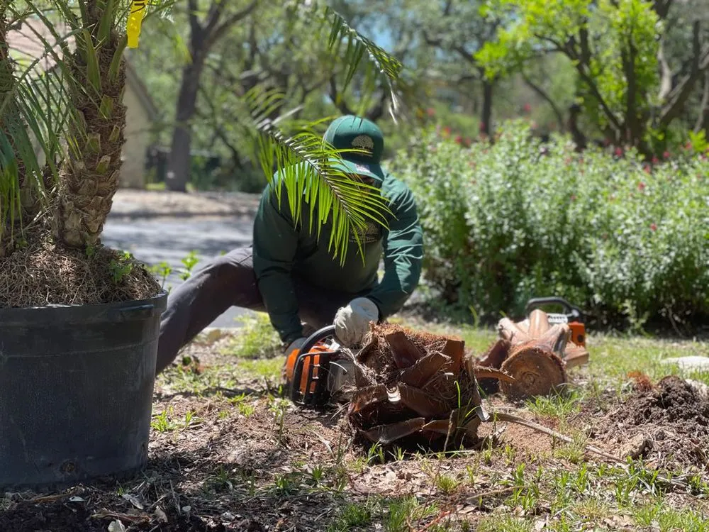 Reliable outdoor landscaping for homes across Austin, TX - Golden Tree