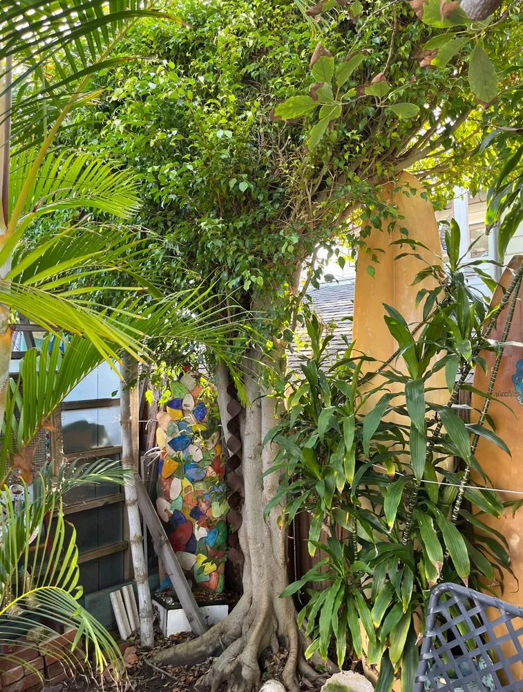 Reliable landscape installation in Santa Ana, CA - Golden Tree Care