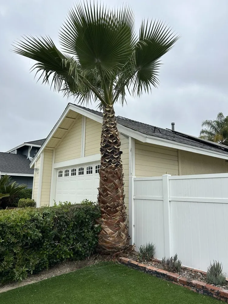 Affordable residential landscaping in Santa Ana, CA - Golden Tree Care