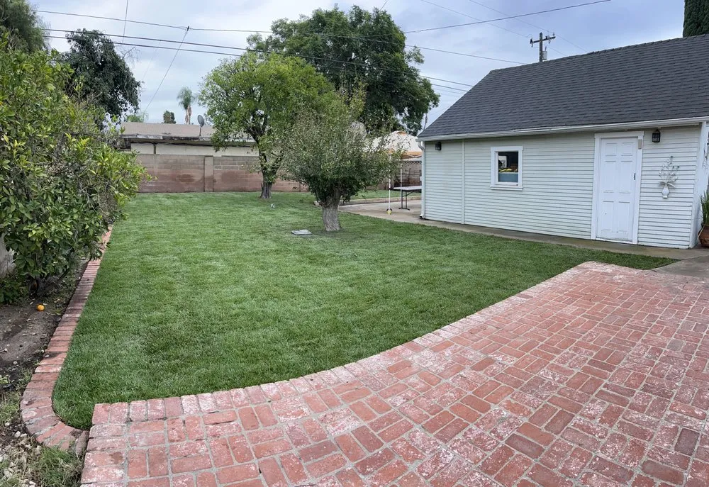 Trusted landscaping services for homes in Santa Ana, CA by Golden Tree Care