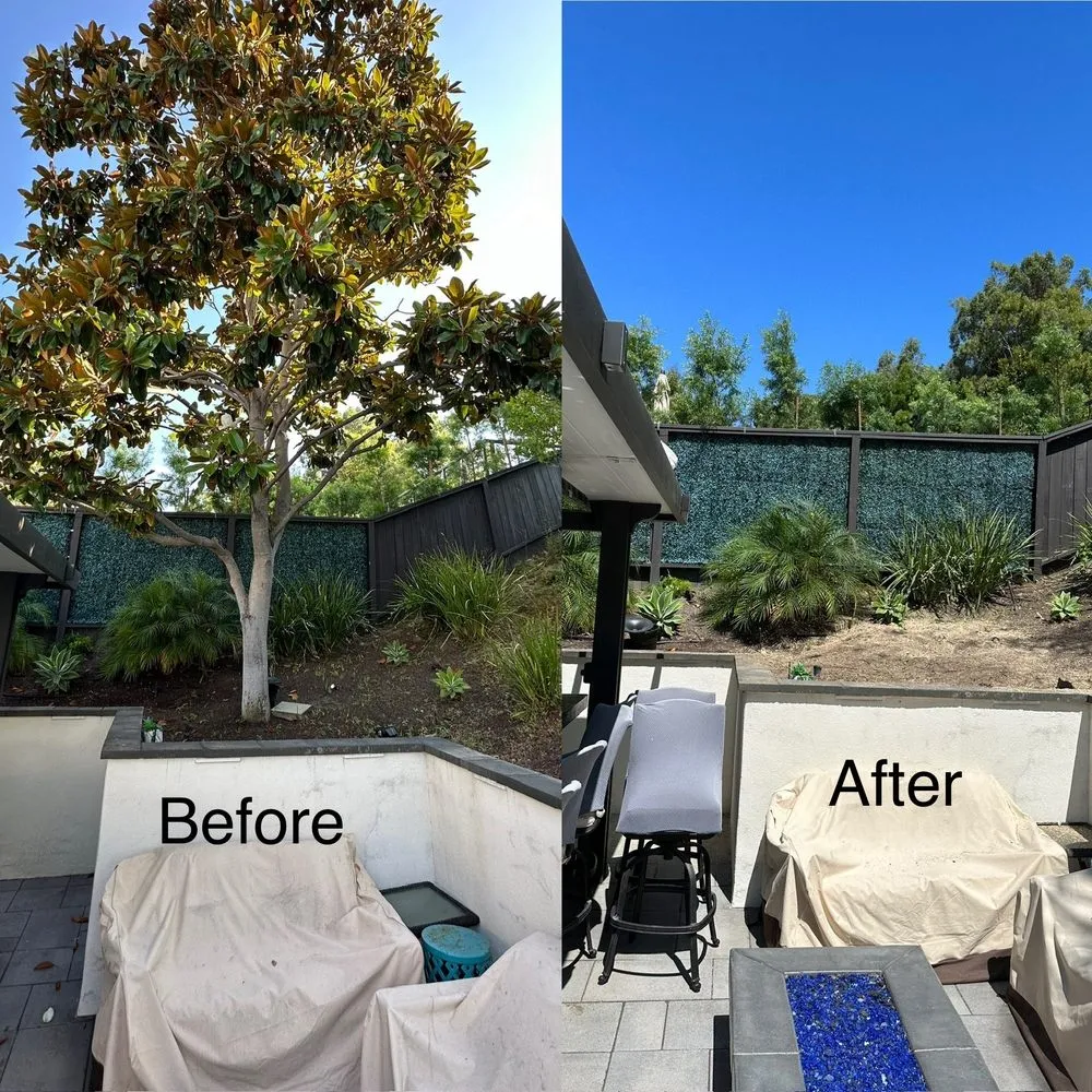 Local landscape design experts serving Santa Ana, CA - Golden Tree Care