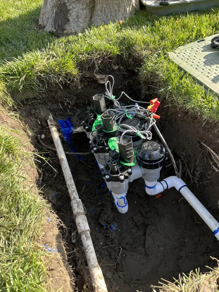 Local yard maintenance for outdoor upgrades across Santa Ana, CA - Golden Tree Care