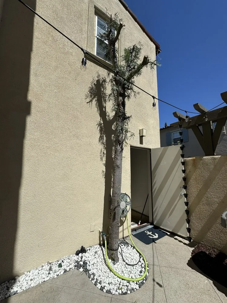 Professional landscape design for beautiful yards across Santa Ana, CA - Golden Tree Care